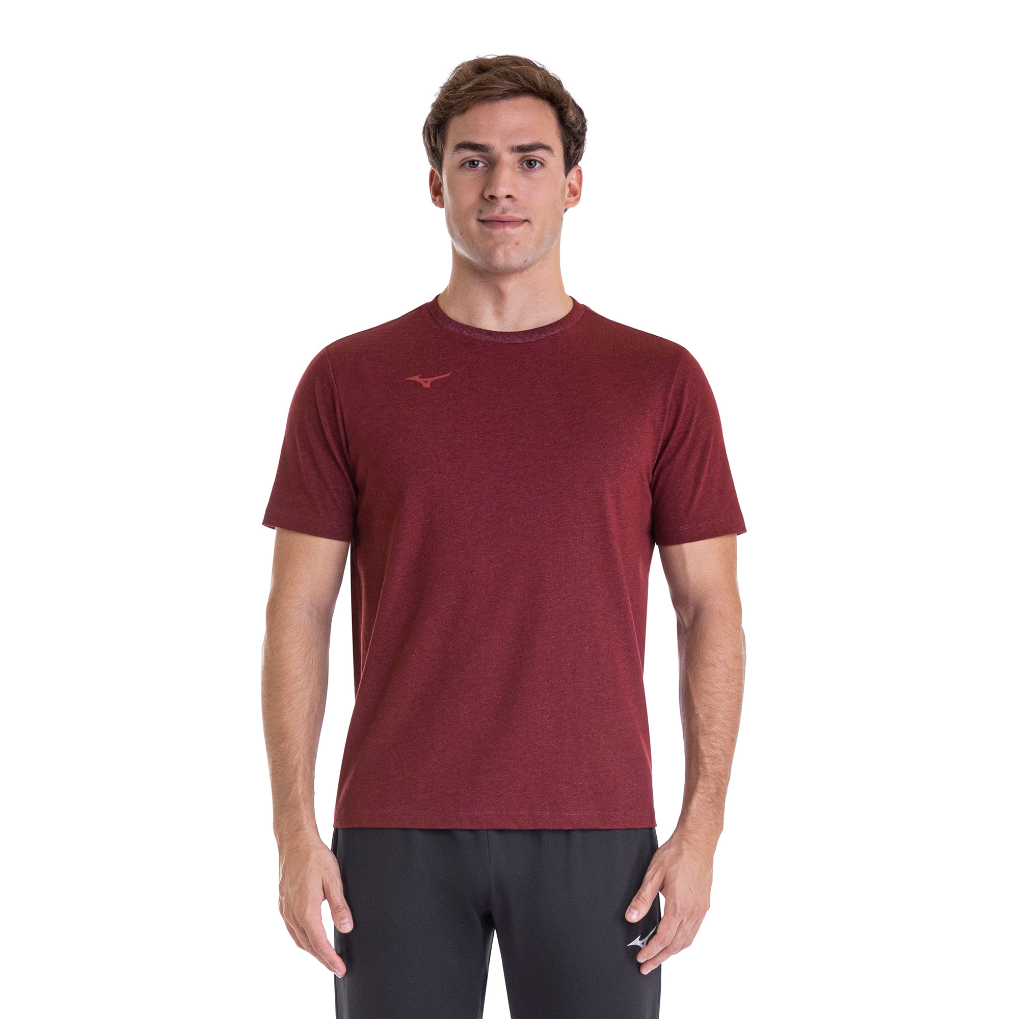 Camiseta de Treino Mizuno Lifestyle Logo Masculina